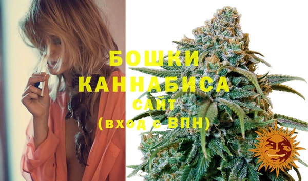 PSILOCYBIN Новокубанск