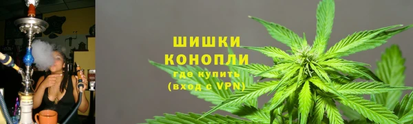 PSILOCYBIN Новокубанск