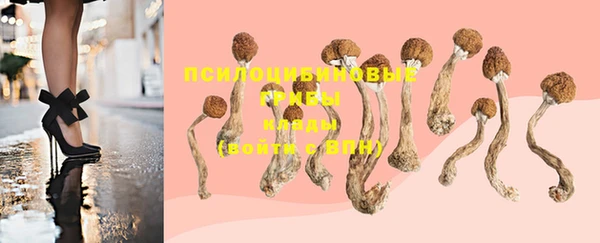 дмт Новозыбков