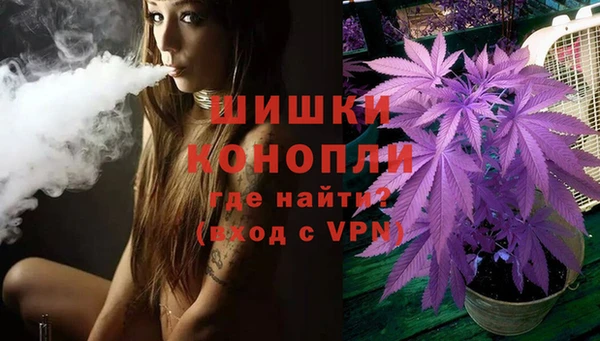 бошки Новодвинск