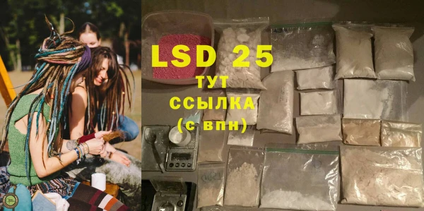 PSILOCYBIN Новокубанск