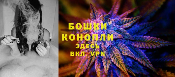 бошки Новодвинск