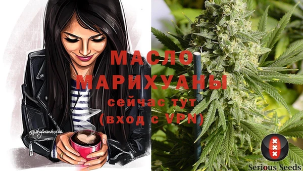 бошки Новодвинск