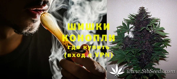ПСИЛОЦИБИНОВЫЕ ГРИБЫ Бежецк