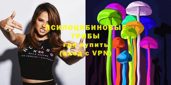 PSILOCYBIN Новокубанск