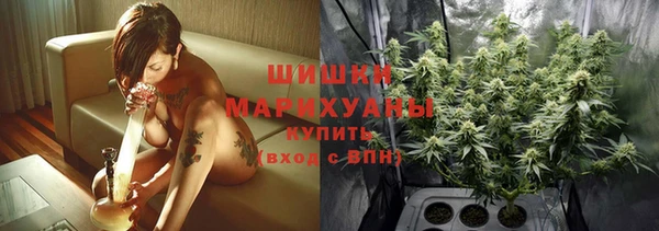 дмт Новозыбков