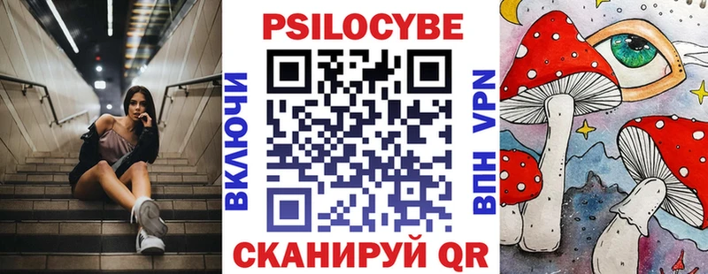 mega как зайти  Козельск  Псилоцибиновые грибы Psilocybe 